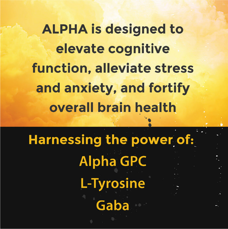 Load image into Gallery viewer, Wintergreen ALPHA Nootropic Pouches