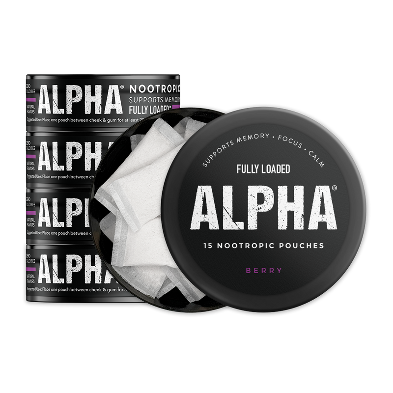 Load image into Gallery viewer, Berry - ALPHA Pouches