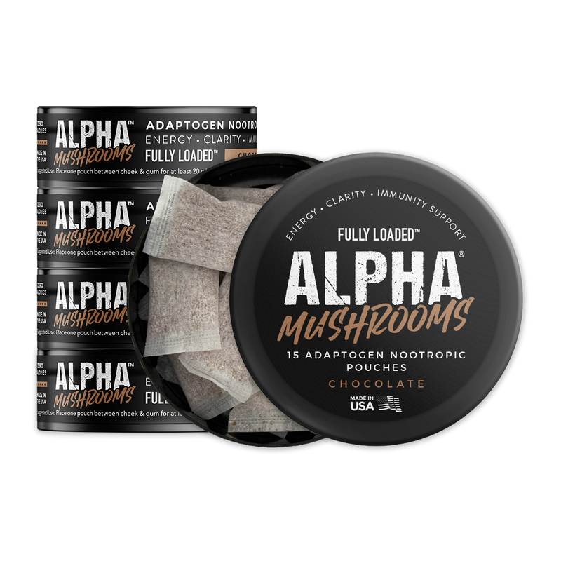 Load image into Gallery viewer, ALPHA Mushroom Adaptogen Pouches - Chocolate