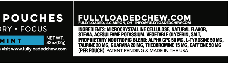 Load image into Gallery viewer, ALPHA Fuel - Mint Nootropic Energy Pouches