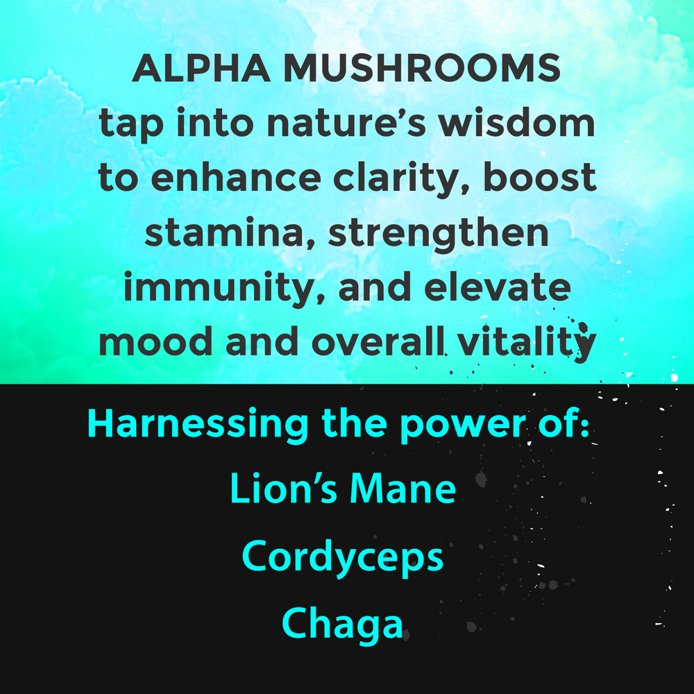 ALPHA Mushrooms Adaptogen Pouches