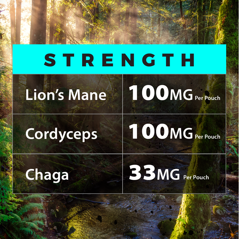 ALPHA Mushrooms Adaptogen Pouches