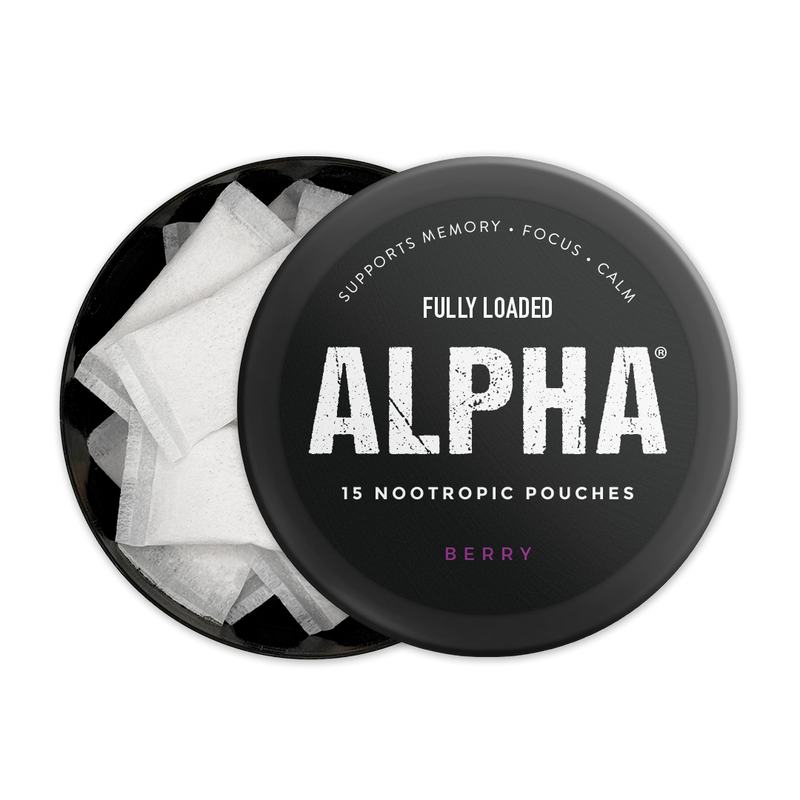 Load image into Gallery viewer, Berry - ALPHA Pouches
